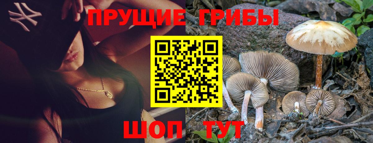 Псилоцибиновые грибы мухоморы Кудымкар